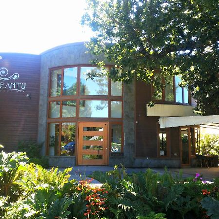 Cocurantu Hotel Boutique Pucon Ngoại thất bức ảnh